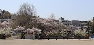 　横須賀市立坂本中学校（中学校）／772m　