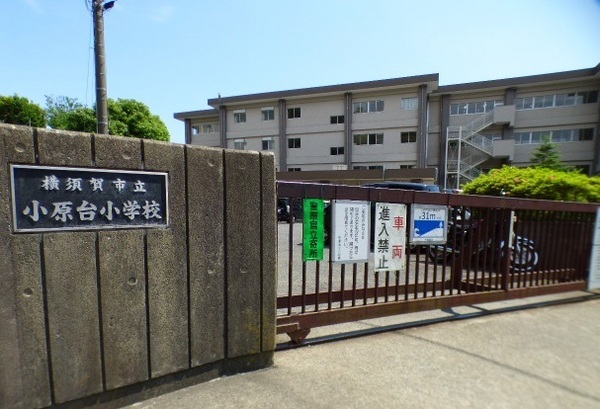 　横須賀市立小原台小学校（小学校）／1367m　