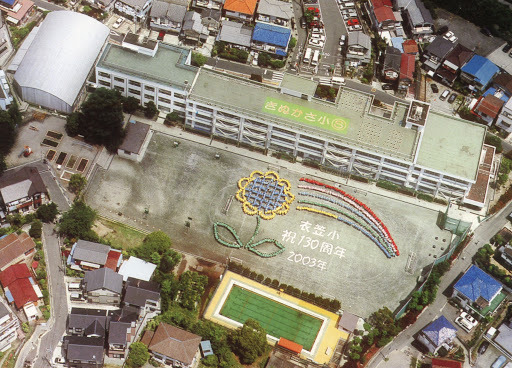クリオ衣笠フィルソーレ　8階角　横須賀市立衣笠小学校（小学校）／427m　